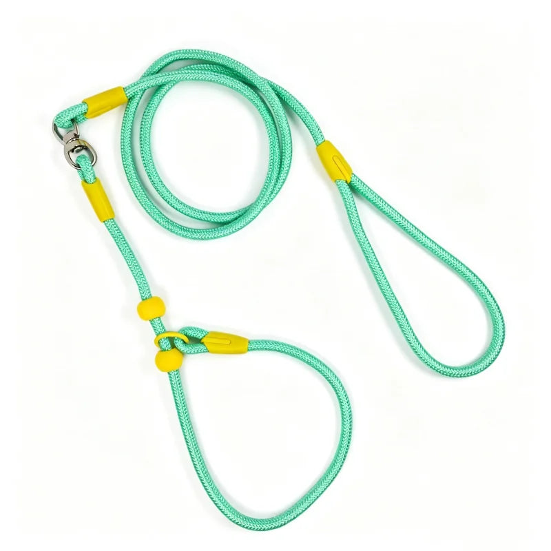 Tangle-Free Nylon Dog Training Leash P-Chain Collar 160cm