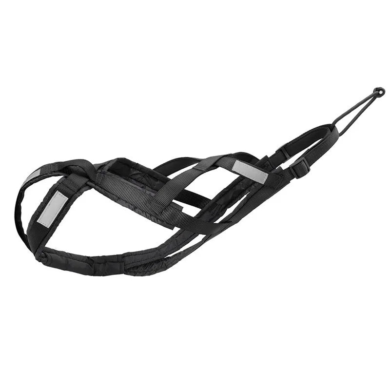 Dog Sled Harness & Weight Training Leash | Husky Scooter