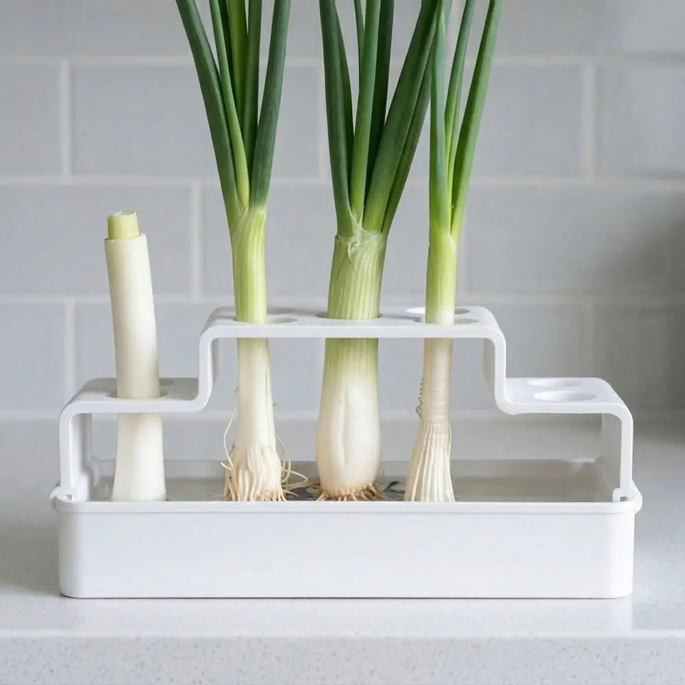 Hydroponic Vegetable Box – Soil-Free Herb Regrowth Planter
