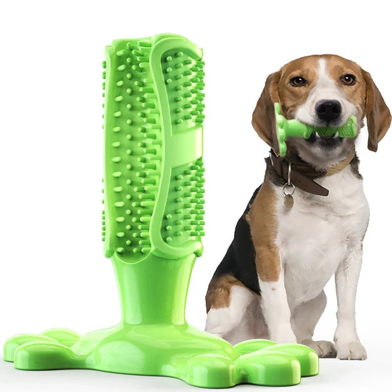Dog Cactus Chew Toy – Treat Dispenser & Teeth Cleaner