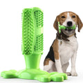 Dog Cactus Chew Toy – Treat Dispenser & Teeth Cleaner