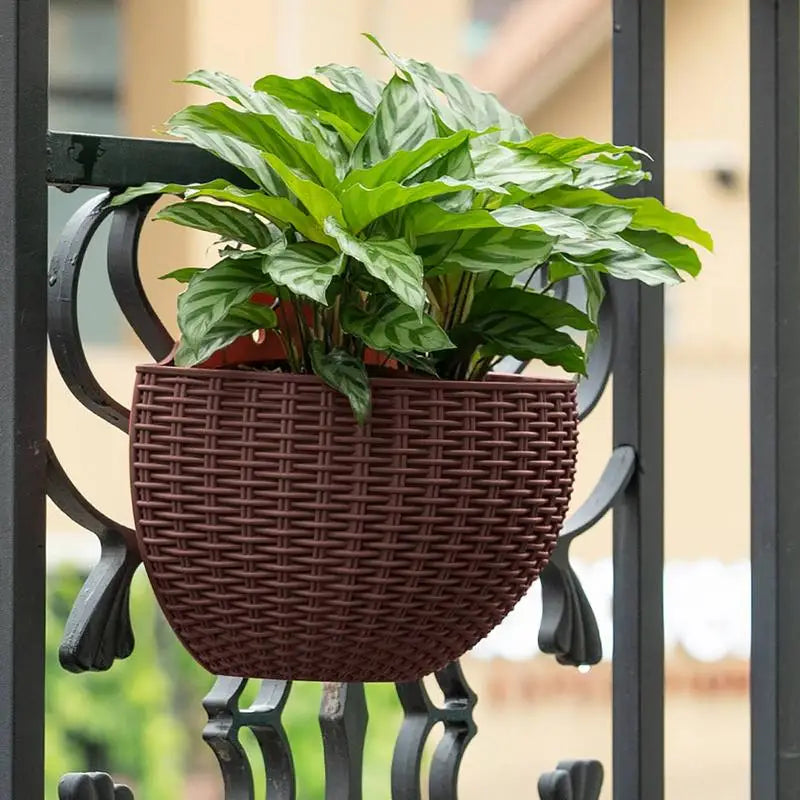Semicircular Wall-Mounted Hanging Flower Planter | Home Decor