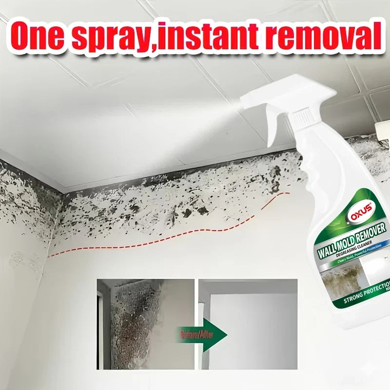 Wall Mold Remover Spray – Anti-Mold Household Cleaner