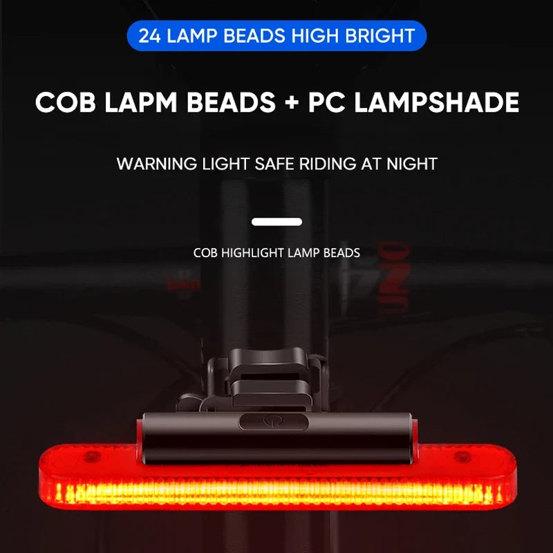 BUCKLOS Bike Tail Light 4 Modes USB Rechargeable Rear Safety Lamp