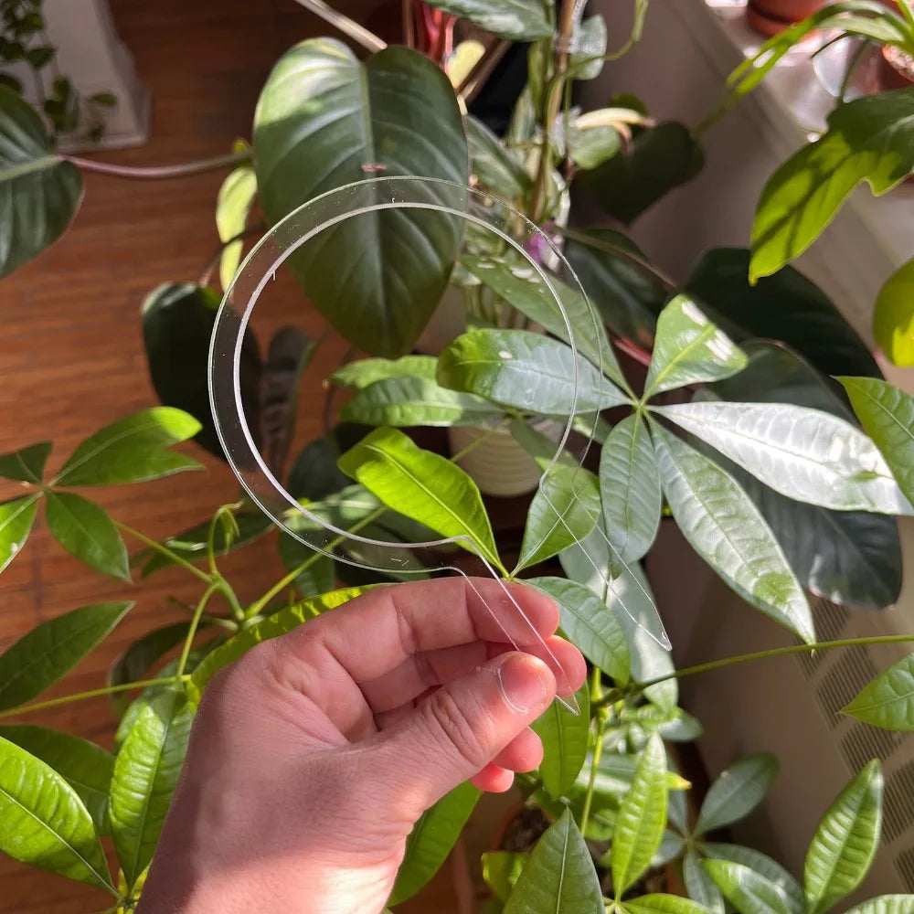Transparent Round Plant Trellis – Plastic Indoor Support Frame