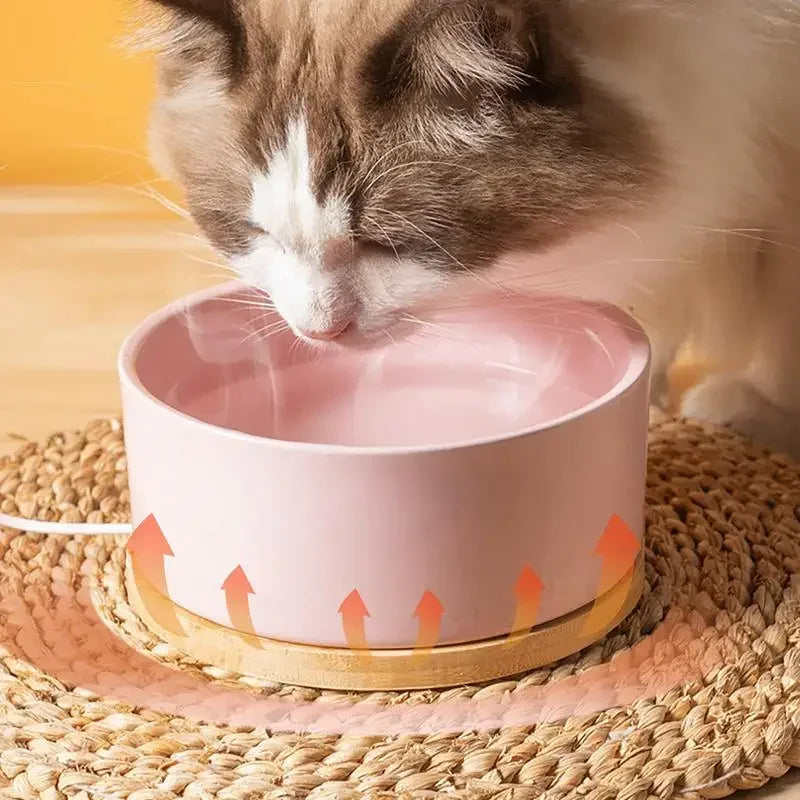 Heated Ceramic Pet Water Bowl – Thermostatic Dog & Cat Feeder
