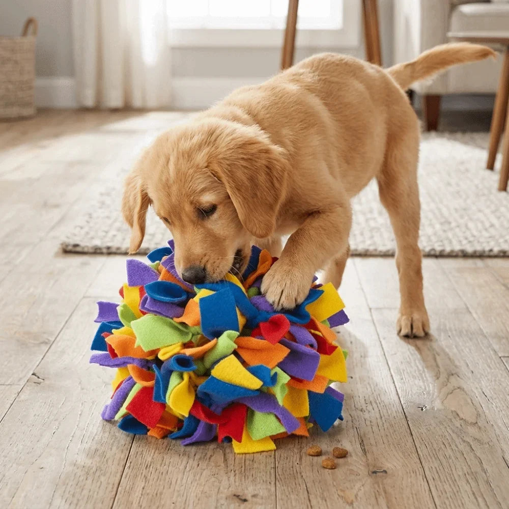 Rainbow Snuffle Ball Dog Enrichment Toy – Brain Training & Slow Feed