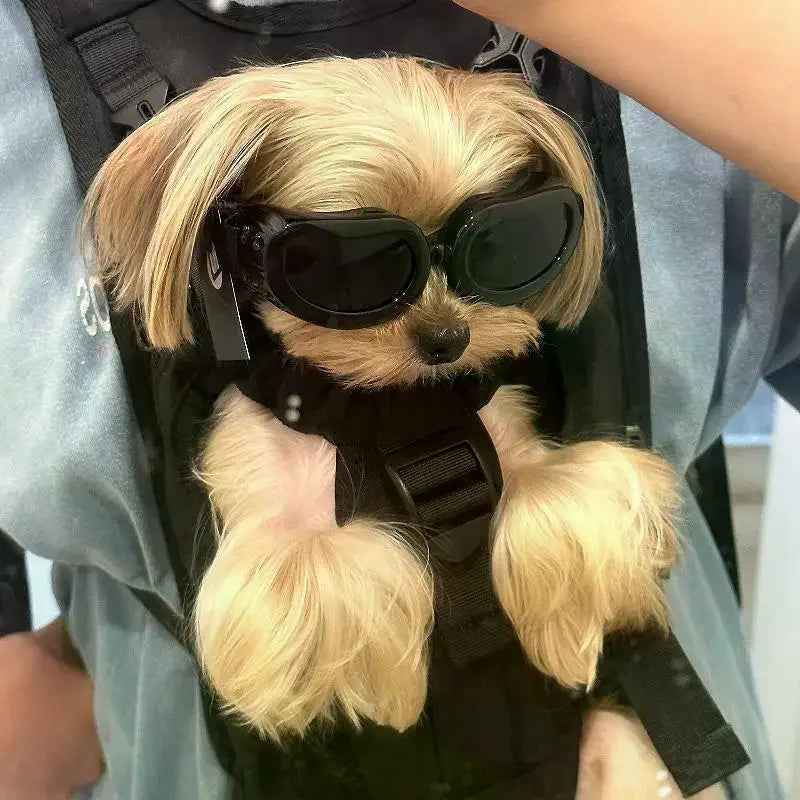 Dog Goggles UV Protection Adjustable Pet Sunglasses | JETTING