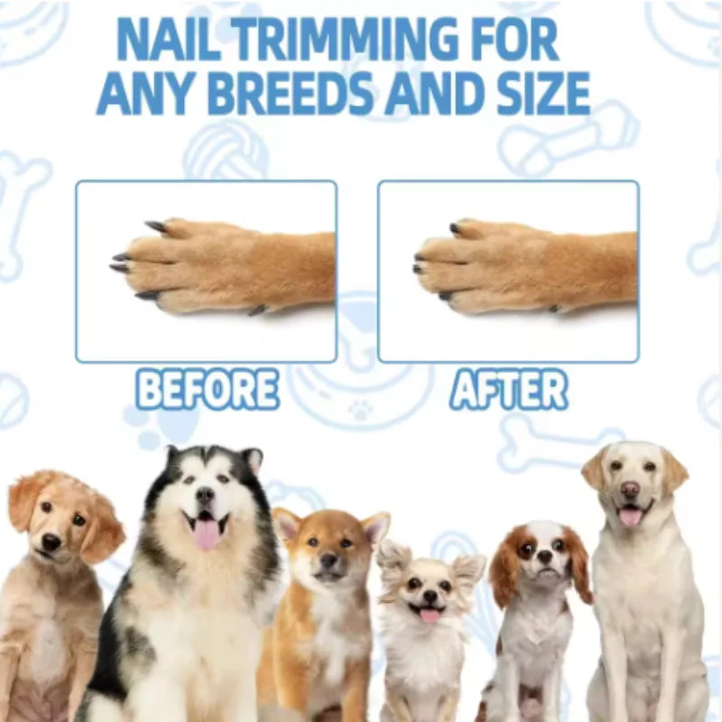 Wooden Dog Scratching Board with Treat Box & Nail Trim Pad