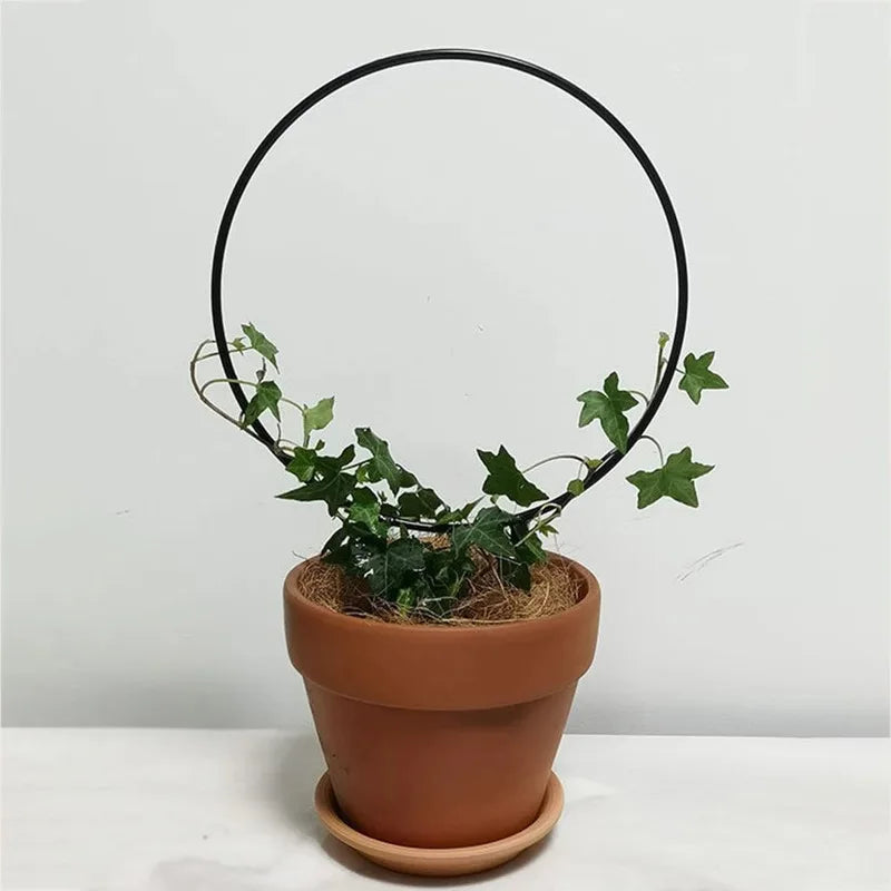 Iron Garden Trellis – Black Rust-Proof Climbing Plant Support